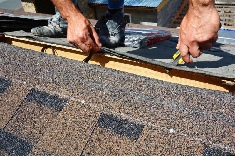 Asphalt Roof Repair